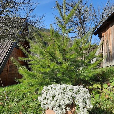 Vikendica Neven Villa Zaovine Eksteriør billede